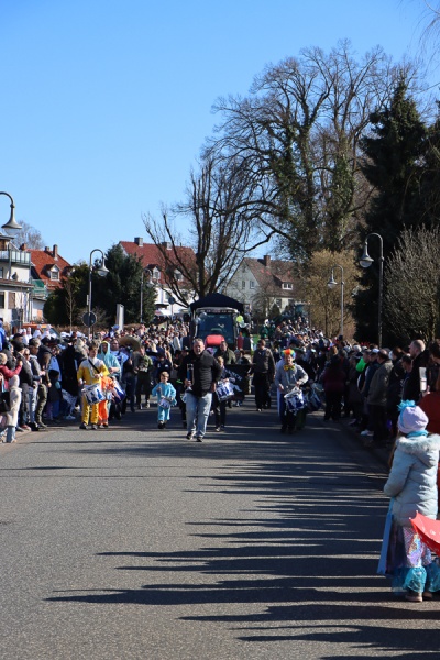 Karnevalsumzug am Rosensonntag 02.03.2025_15