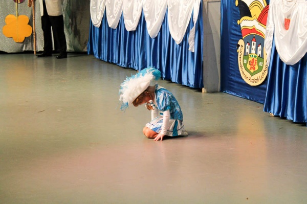 Seniorensitzung 2015 am 31.01.2015
