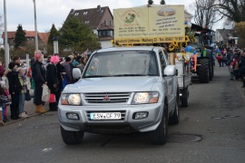 Karnevalsumzug am 02.03.2014