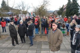 Karnevalsumzug am 02.03.2014