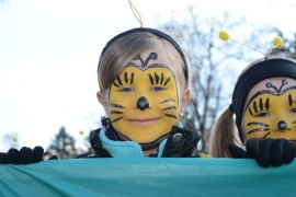 Karnevalsumzug am 02.03.2014