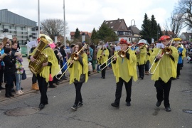 Karnevalsumzug am 02.03.2014