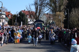 Karnevalsumzug am Rosensonntag 02.03.2025_15