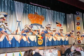 Seniorensitzung 2015 am 31.01.2015